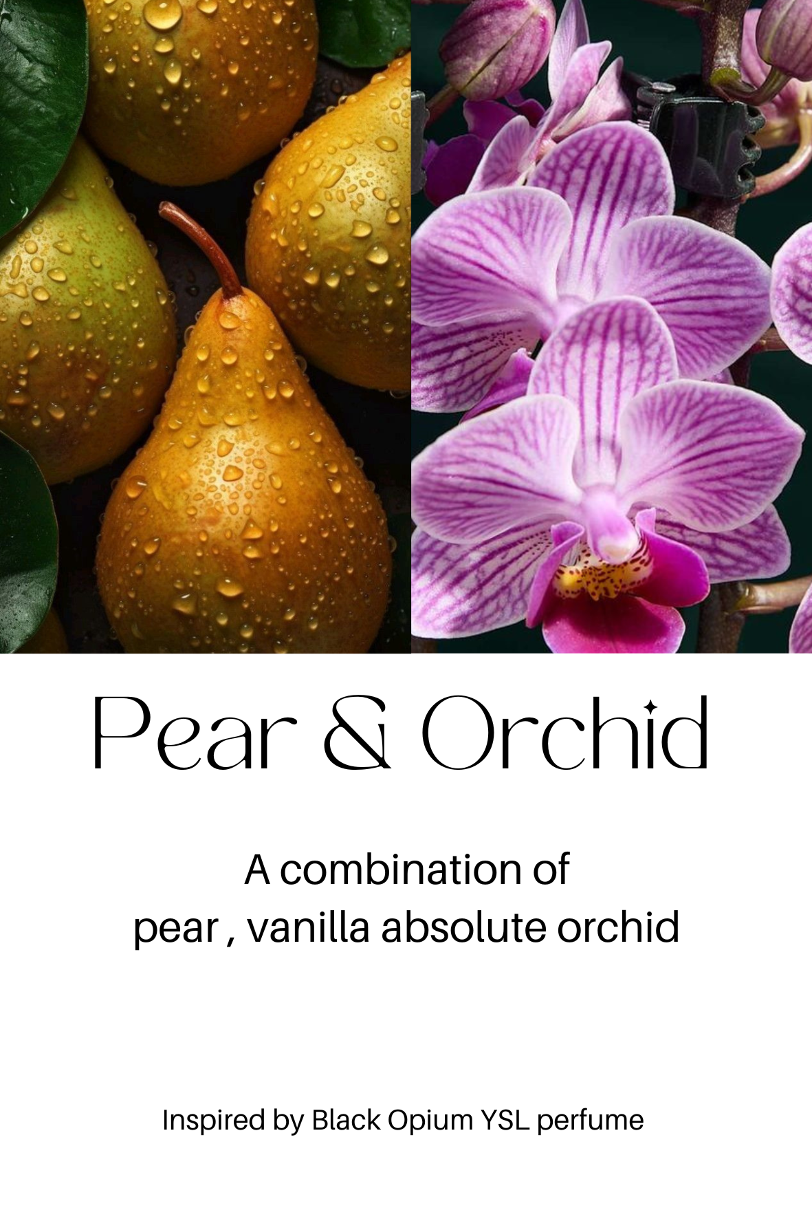 Pear & Orchid