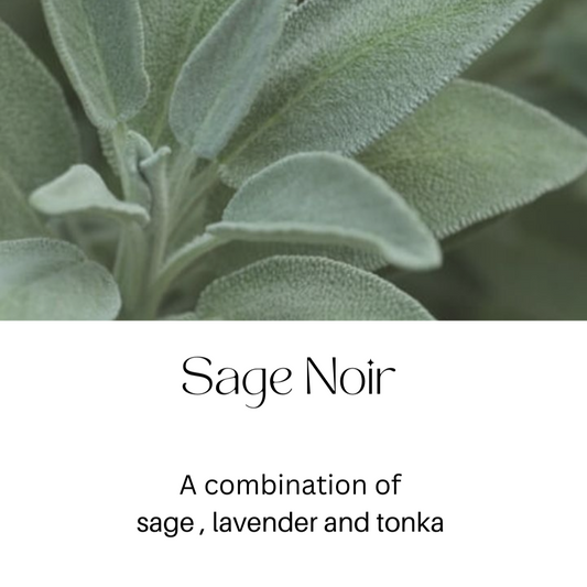 Sage Noir Body Cream